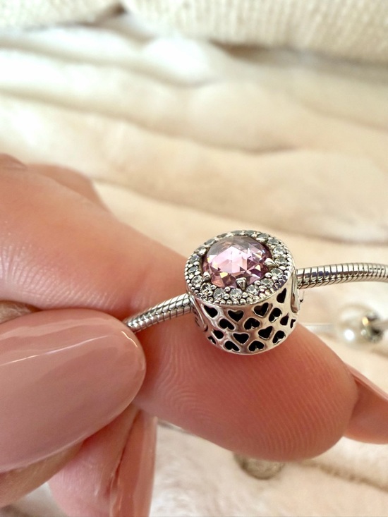 RARE❗️ Retired PANDORA ESSENCE Set of 2 Bracelets & 4 Charms - Picture 17 of 17